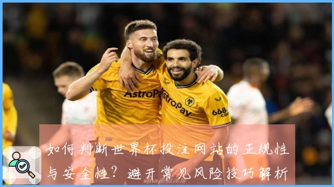 如何判断世界杯投注网站的正规性与安全性？避开常见风险技巧解析