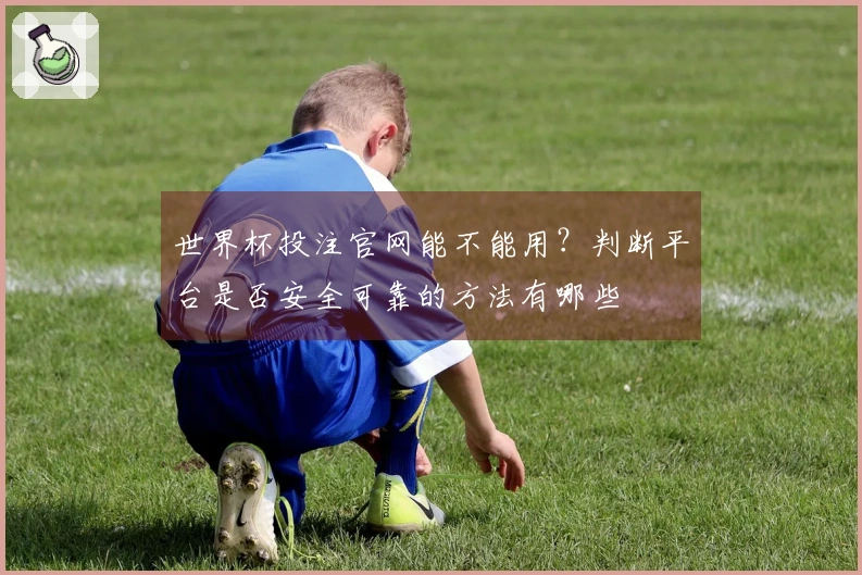 世界杯投注官网能不能用？判断平台是否安全可靠的方法有哪些